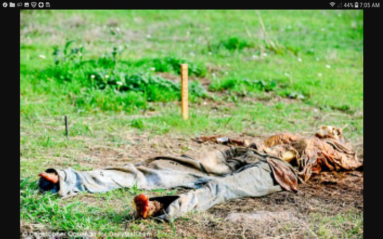 What do uh oh do in a bad situation like, finding a dead body!