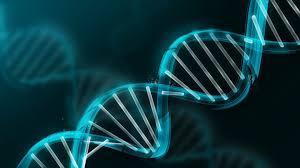 What does DNA mean?
