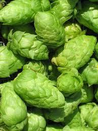 From which country to Galaxy hops originate?