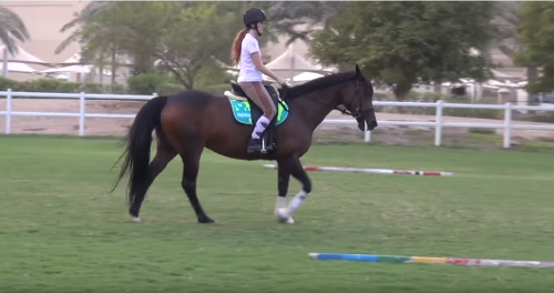 The mare makes an unespected bucking move under the saddle, but she  wants to keep you on her.
