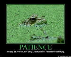 Who said this: "Patience yields Focus"