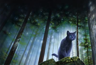 If you had the opportunity to meet Erin Hunter in person would you do it?