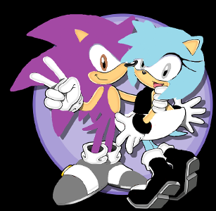 What sonic oc couple is this?