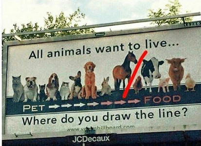Escolha um animal de estimação!