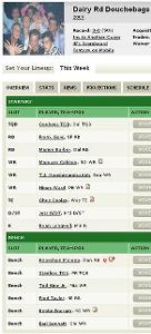 A Fantasy Football team lineup usually consists of: