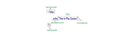 What does the 'echo' statement do in PHP?