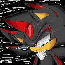Me : Okay I... // Sonic : Milea, I think it's time for her to... you know what... // You : What? // Silver : No! She doesn't have to leave now! // Shadow : You'll miss me... // You : What are you talking about? // Me : Sorry '___'...  <<Your last memory was the one of Sonic, Silver, Shadow and me...>>