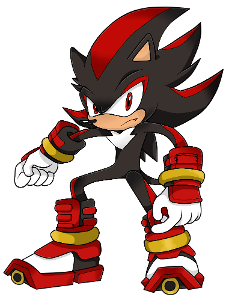 What SHOES would you where if you went on a date with the hedgeies Shadow and Sonic- WAT