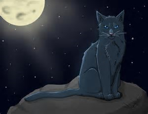First section: Bluestar First Question; Who was Bluestar's mate?