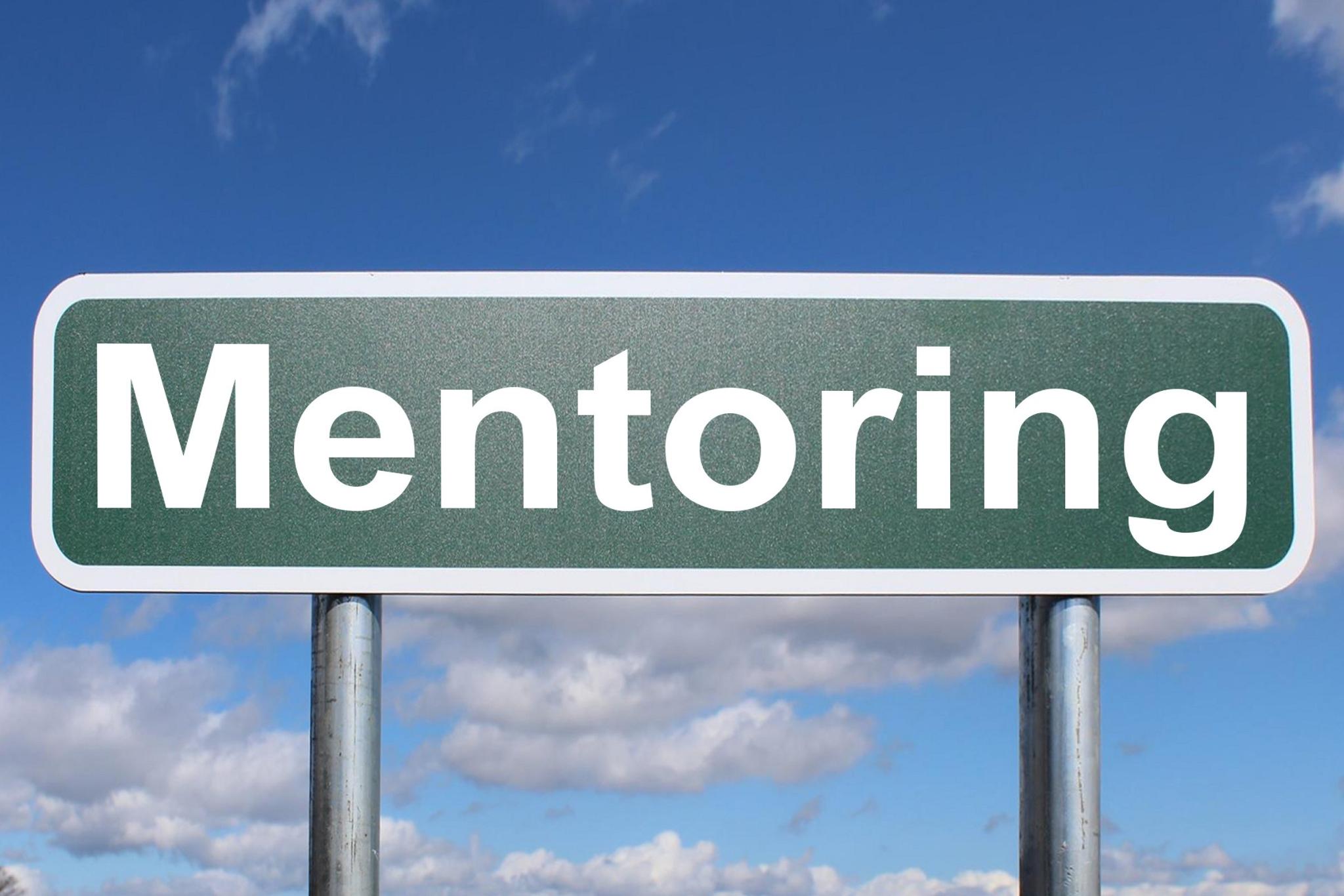 What do you value most in a mentor?