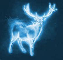 You have started your O.W.Ls and are now practising O.W.L level Defence Against the Dark Arts. What is your patronus?
