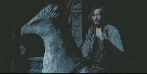 Which name did Sirius Black give Buckbeak?