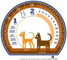 How long do you want your pets average life span to be?