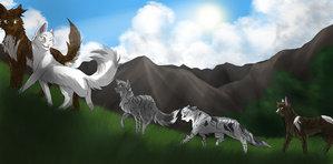 Ok so were gonna roleplay! You were out hunting in spare time, where do you choose to hunt?