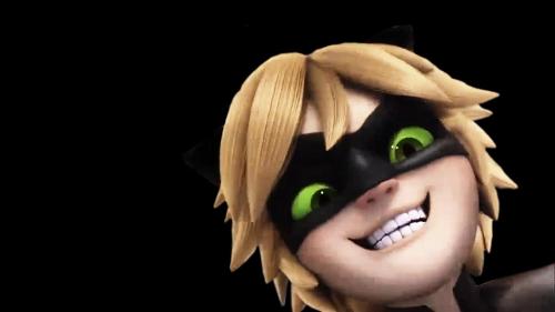 Who is Chat Noir's crush?
