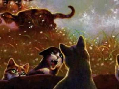In the book Firestar's Quest, Skyclan and Firestar battle rats. Who died in the fight?