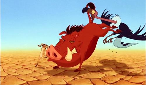 What is the fraze Simba learned while he was with Timon and Pumbaa?