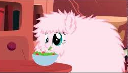 What are the three favourite foods of Fluffle Puff?