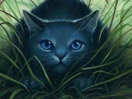 Was Bluestar ever wrapped up in a prophecy? If so, who did she get it from and did she fulfill it?