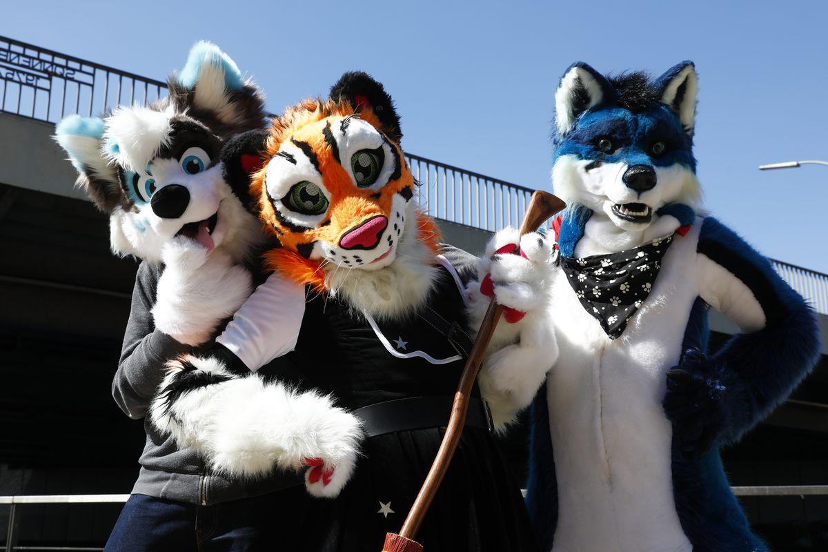 Are You a Furry? - Personality Quiz