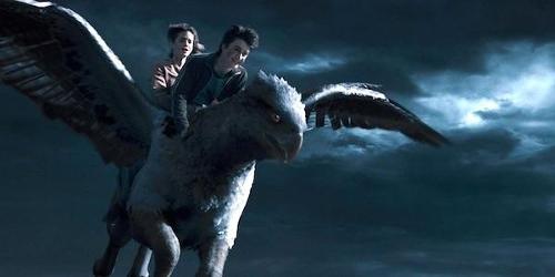 What is the name of the hippogriff Harry and Hermione used to save Sirius?