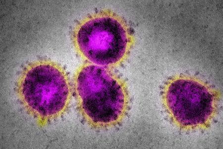Is the coronavirus in your town/city