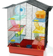 If you had a house instead of a cage what would it be?