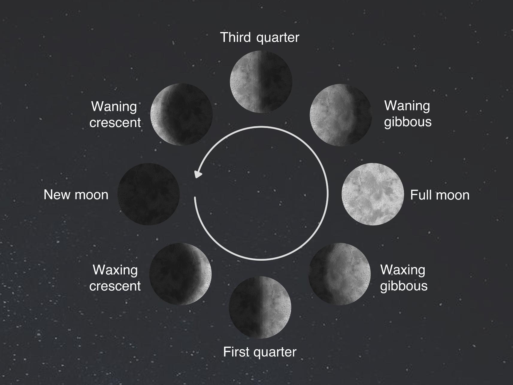 Which moon phase resonates with you the most?