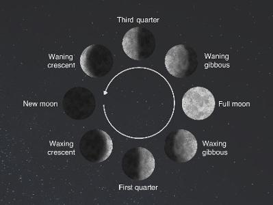 Which moon phase resonates with you the most?