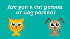 here's a very easy one. what do you like better, a cat or dog?