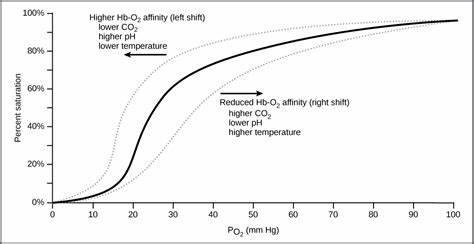 Which mineral is essential for oxygen transport in the blood?