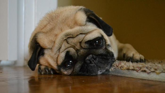 What do you do when you're upset?