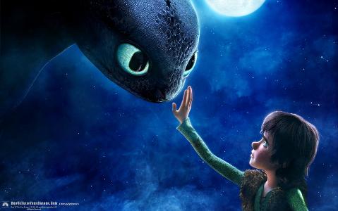 How old is Hiccup in How to train your dragon 1?