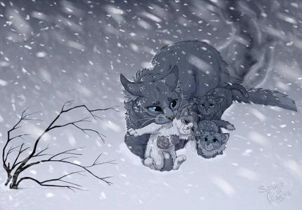 Why did Bluestar give up Mistyfoot and Stonefur?