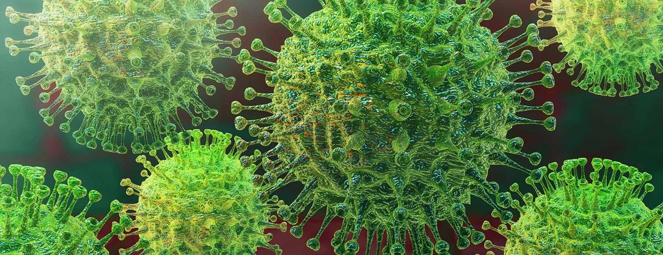 What year was the coronavirus disovered