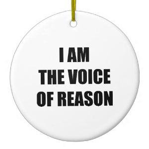Who said this: "I hate to be the voice of reason, Always..."