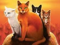Who leader is your role model from the times of Firestar?