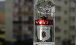 Straight vodka because i couldnt think of what else people ate in slavic  countries