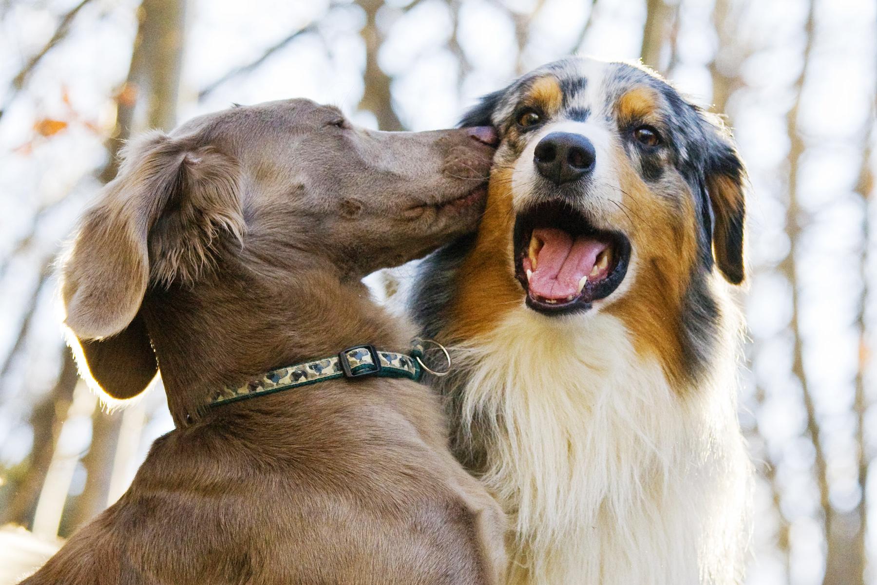 Awwww