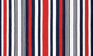 Americana stripe beach towel