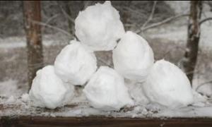 Plan a snowball war