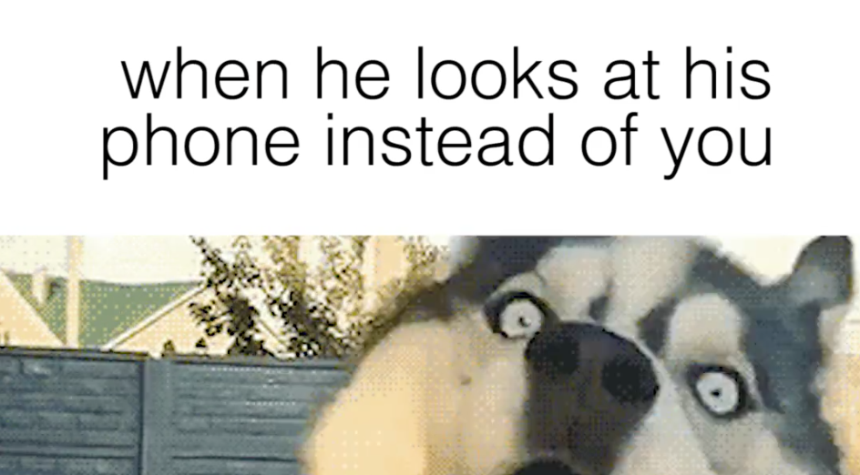 True