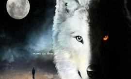Wolves of Twilight