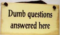 Dumb Questions to Ask