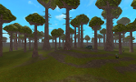 The Roblox Forest