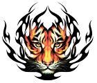 The Tiger Tribe