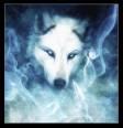 Sprit of the Wolf (1)