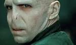 Voldy Is Moldy