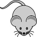 Mouse (A Bruno Mars Parody of Grenade)
