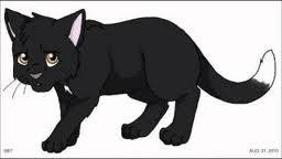 Zodiac (warrior cats)